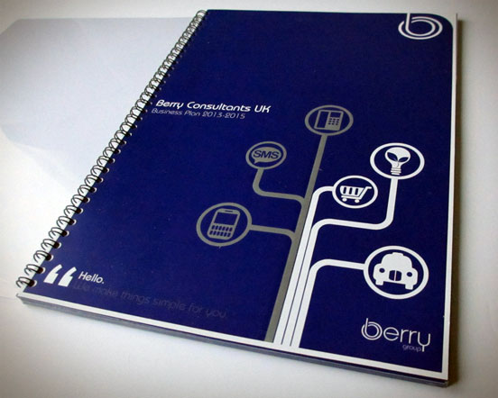 Berry Business Plan Design